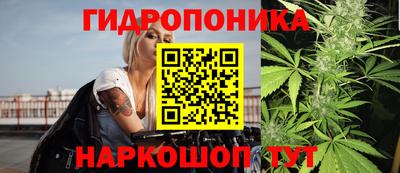 герыч Новодвинск