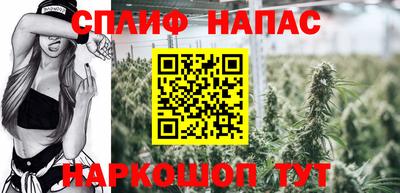спиды Новозыбков