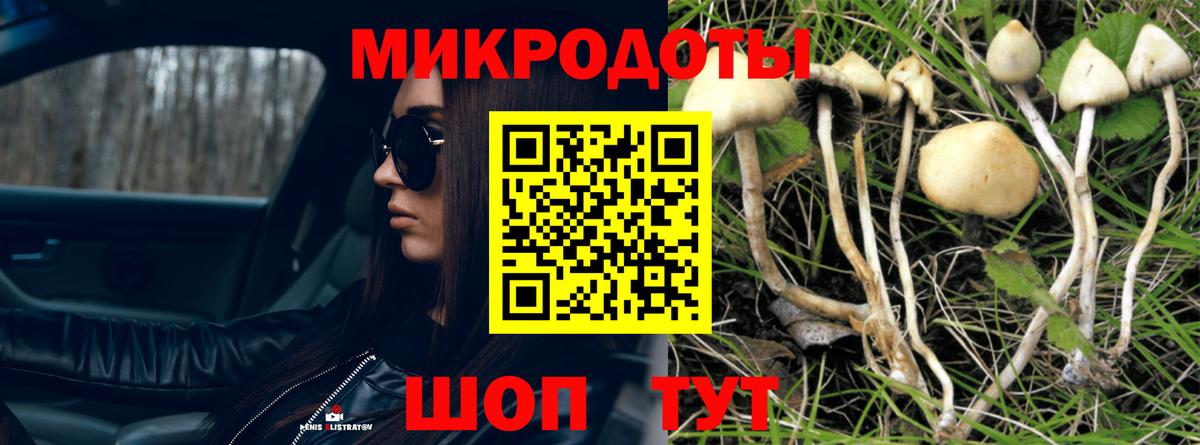 Галлюциногенные грибы мицелий  Вход с VPN  Улан-Удэ 